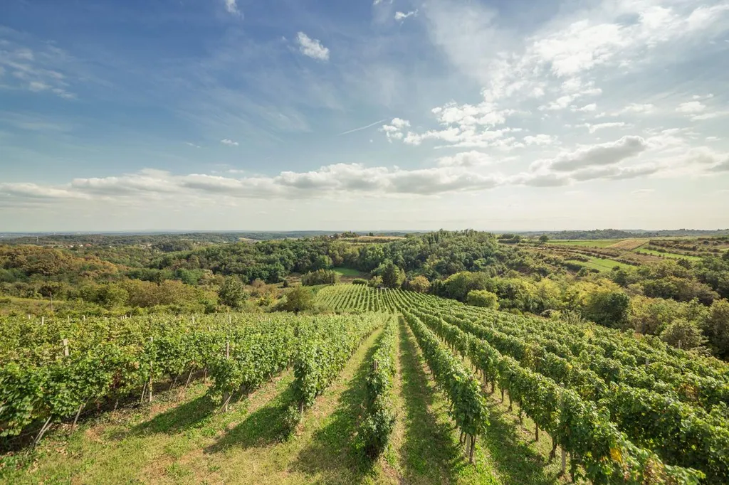 Vinarija Purek Puhelek