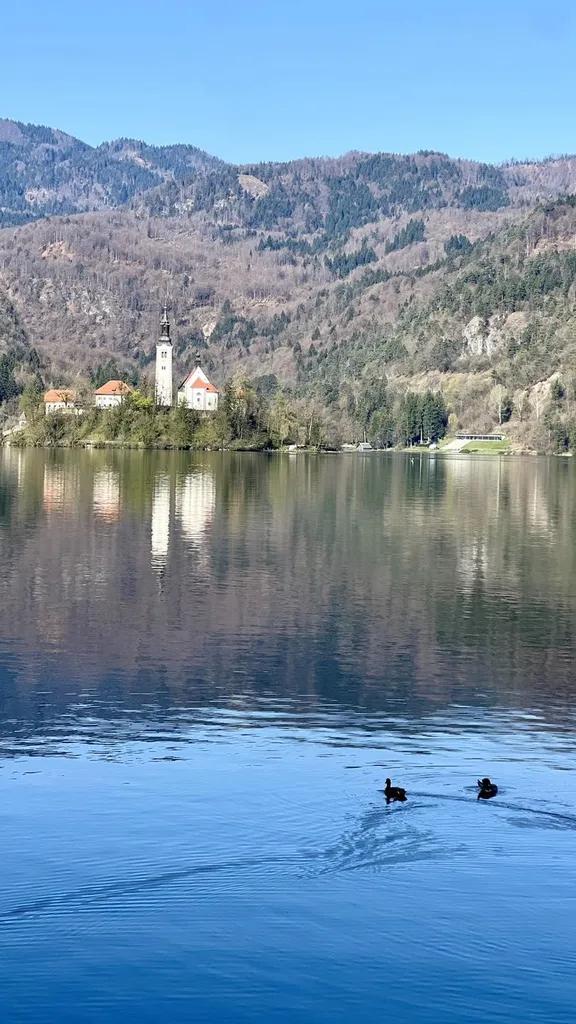 Bledski otok