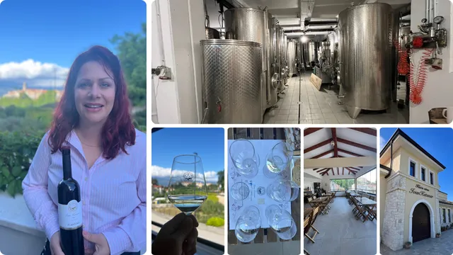 Moderna vinarija i ljubazni vlasnici jamče zanimljiv boravak