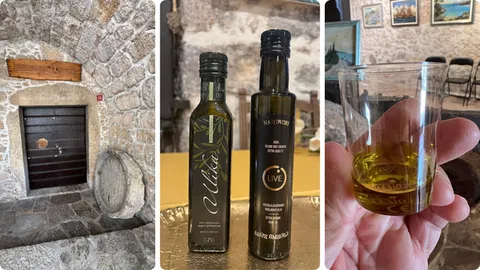 Lijevo: ulaz u Galeriju TOŠ, Desno: jeste kad bili na degustaciji maslinovog ulja? Ne propustite!